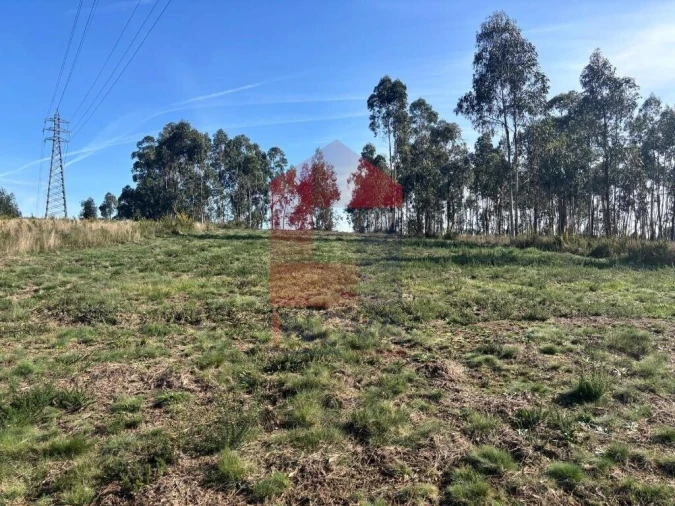 Terreno para Venda em Oleiros Foto 8