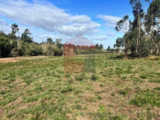Terreno para Venda em Oleiros Foto 17