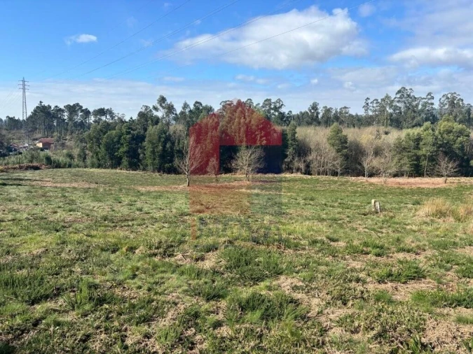 Terreno para Venda em Oleiros Foto 10