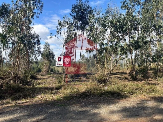 Terreno para Venda em Oleiros Foto 28