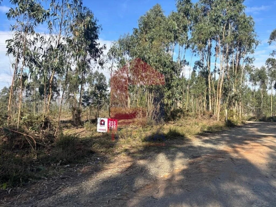 Terreno para Venda em Oleiros Foto 29