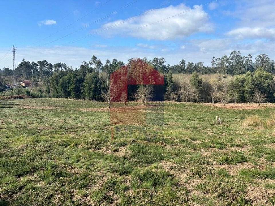 Terreno para Venda em Oleiros Foto 10