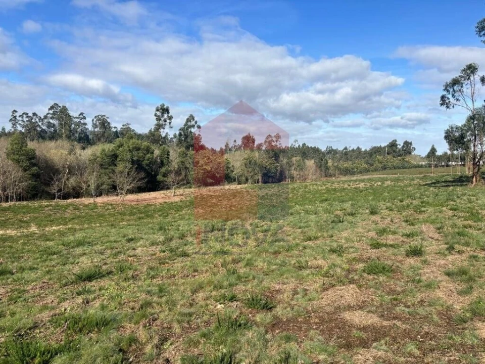 Terreno para Venda em Oleiros Foto 4