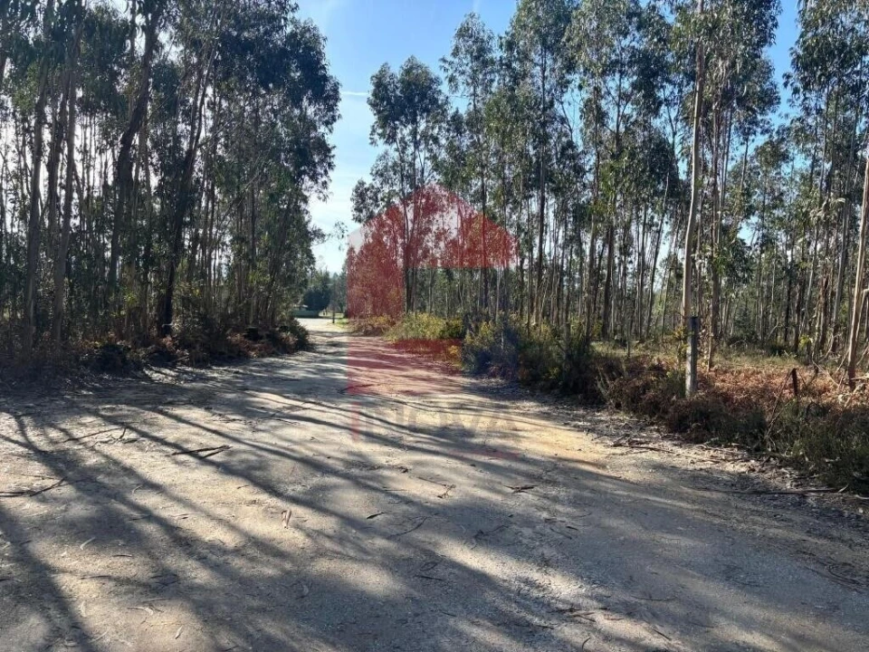 Terreno para Venda em Oleiros Foto 34