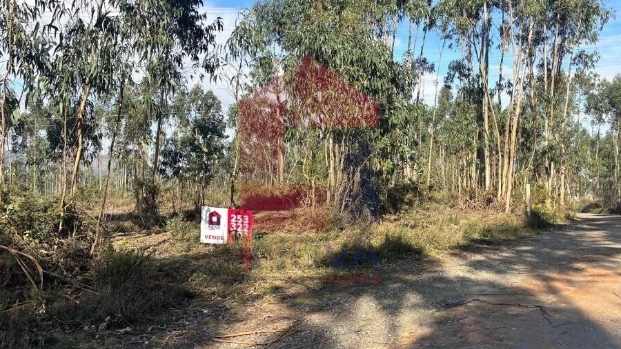Terreno para Venda em Oleiros