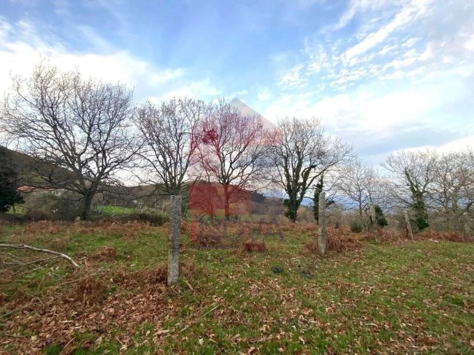Terreno para Venda em Azias Foto 5