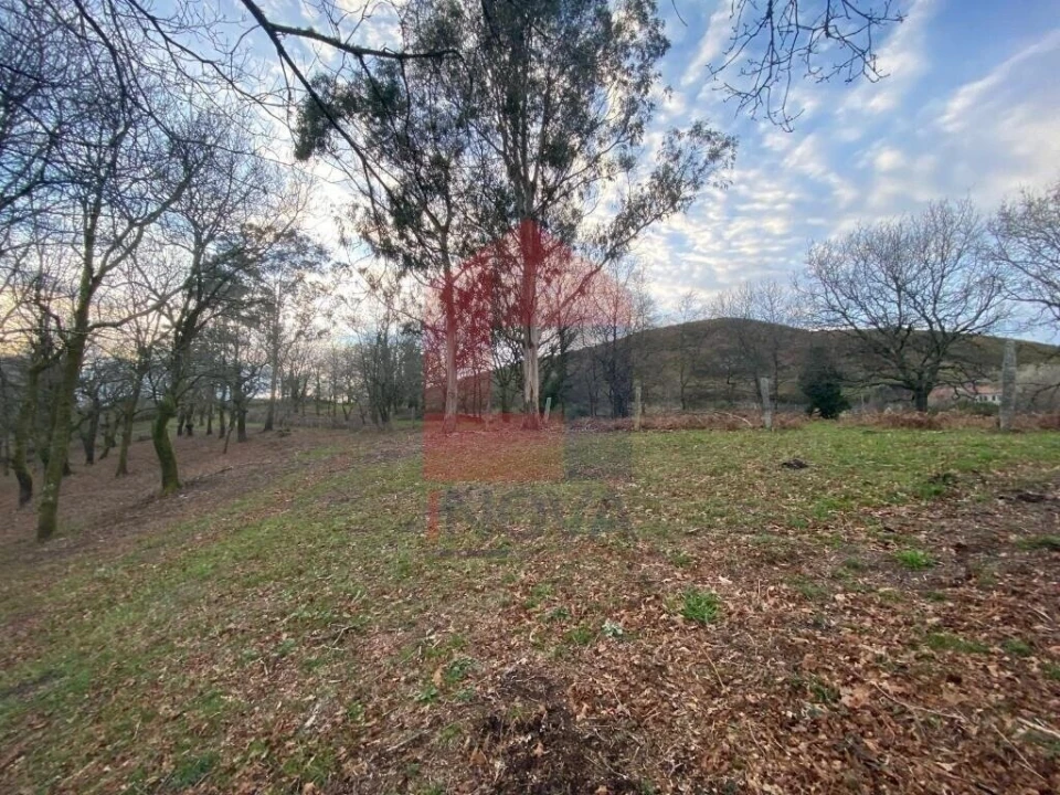 Terreno para Venda em Azias Foto 23