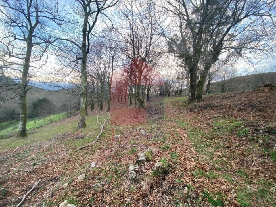 Terreno para Venda em Azias Foto 19