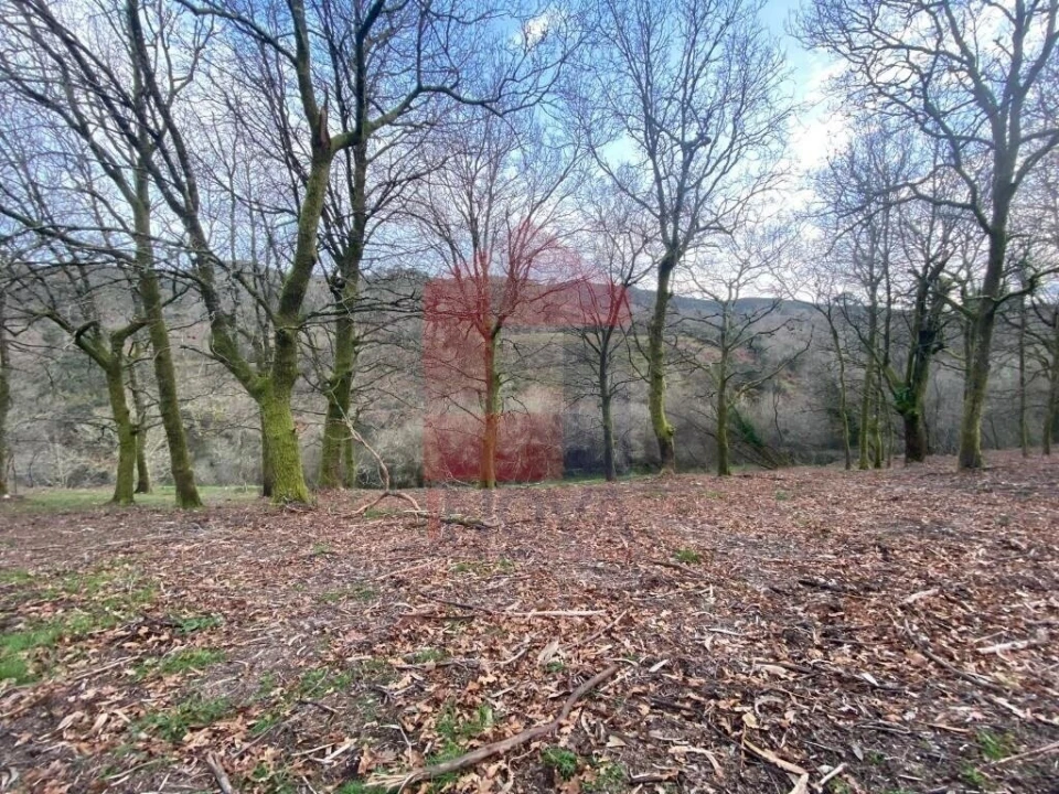 Terreno para Venda em Azias Foto 3