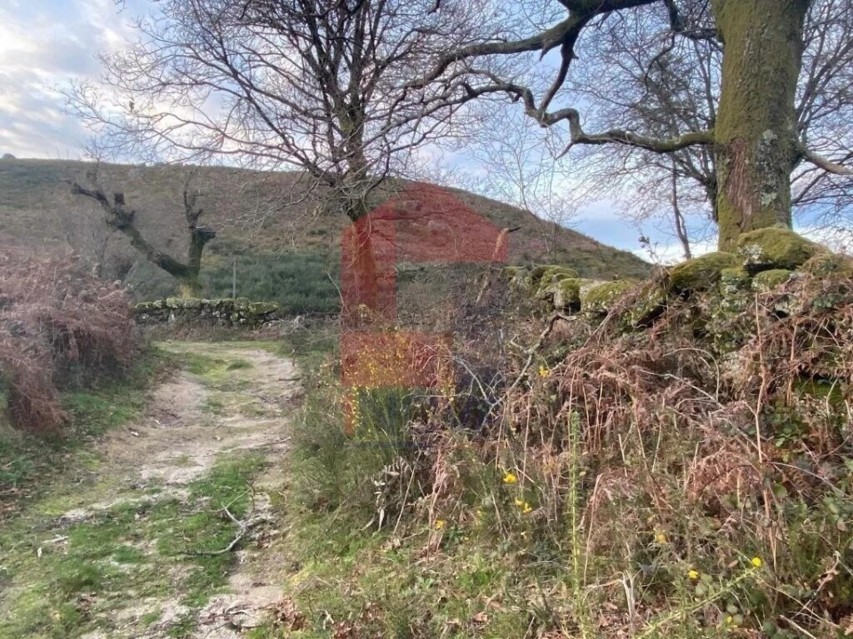 Terreno para Venda em Azias Foto 28
