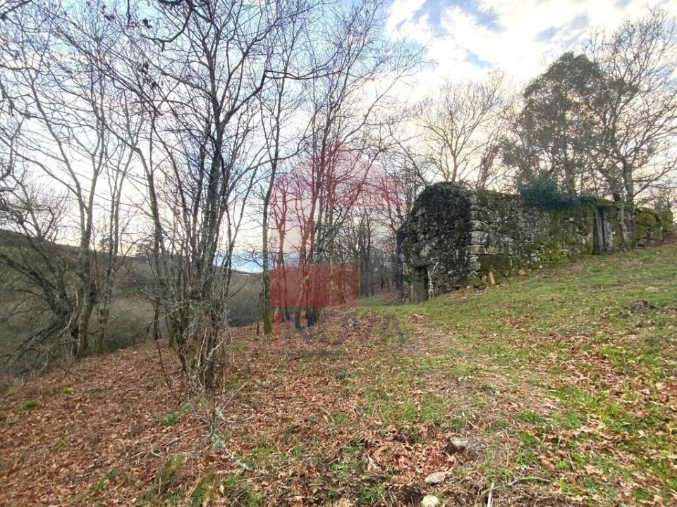 Terreno para Venda em Azias Foto 12