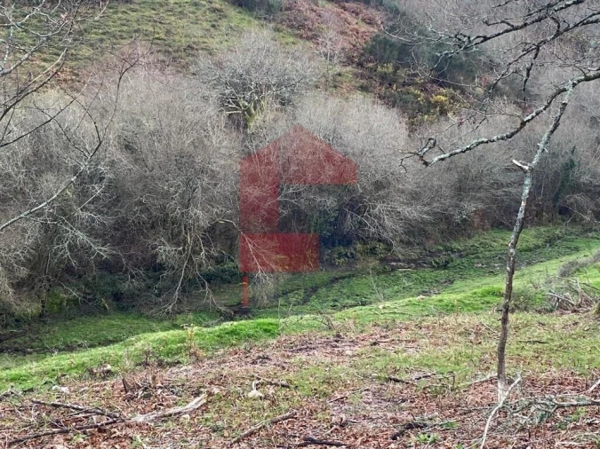 Terreno para Venda em Azias Foto 17