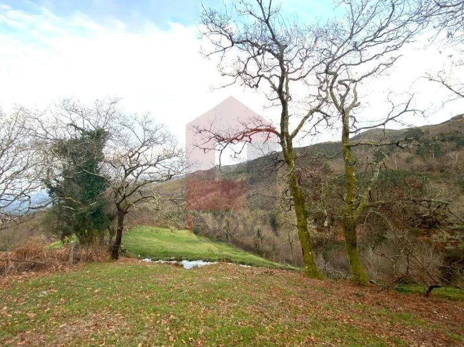 Terreno para Venda em Azias Foto 8
