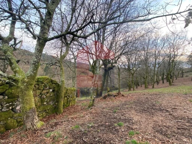 Terreno para Venda em Azias Foto 7