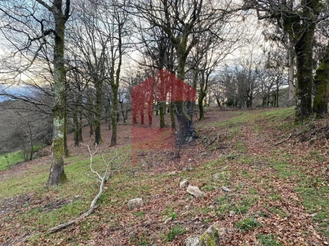 Terreno para Venda em Azias Foto 20