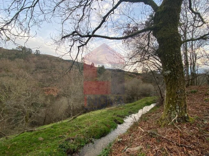 Terreno para Venda em Azias Foto 9