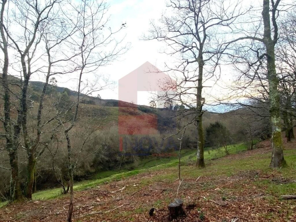 Terreno para Venda em Azias Foto 18