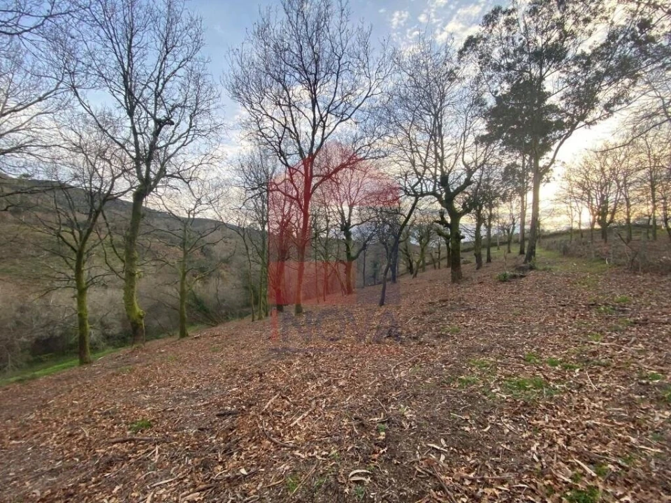 Terreno para Venda em Azias Foto 2