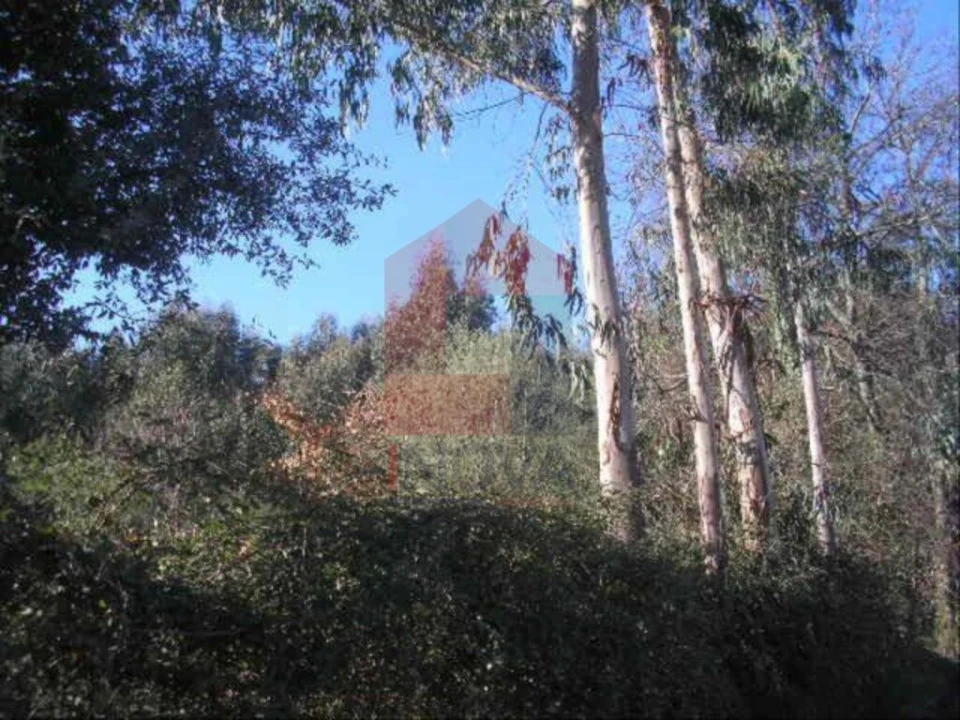 Terreno para Venda em Moure Foto 4