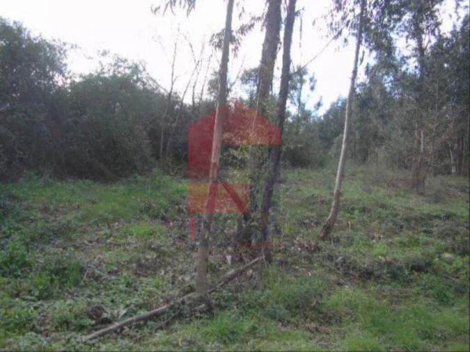 Terreno para Venda em Moure Foto 2