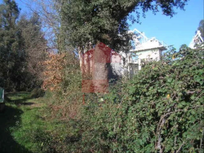 Terreno para Venda em Moure Foto 5