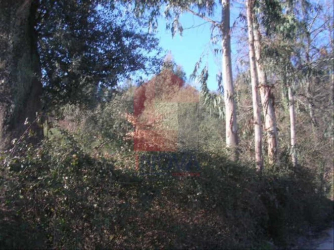 Terreno para Venda em Moure Foto 3