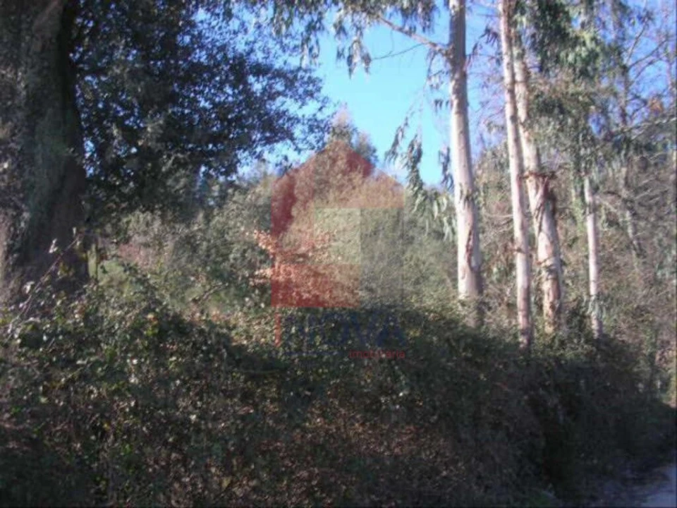 Terreno para Venda em Moure Foto 3