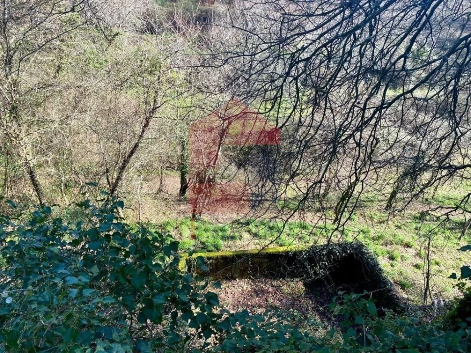 Terreno para Venda em Pico Foto 9