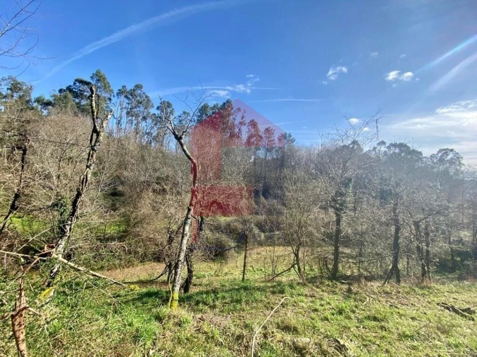 Terreno para Venda em Pico Foto 4