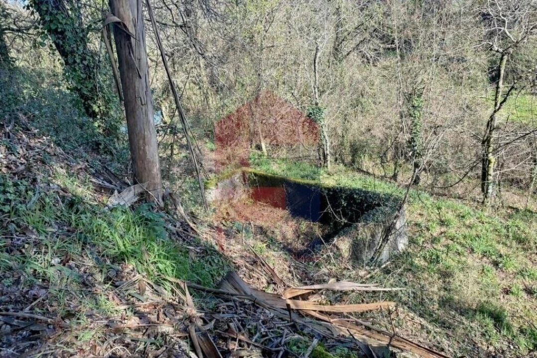 Terreno para Venda em Pico Foto 2