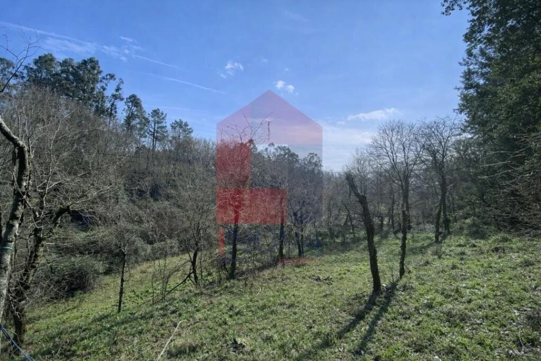 Terreno para Venda em Pico Foto 6