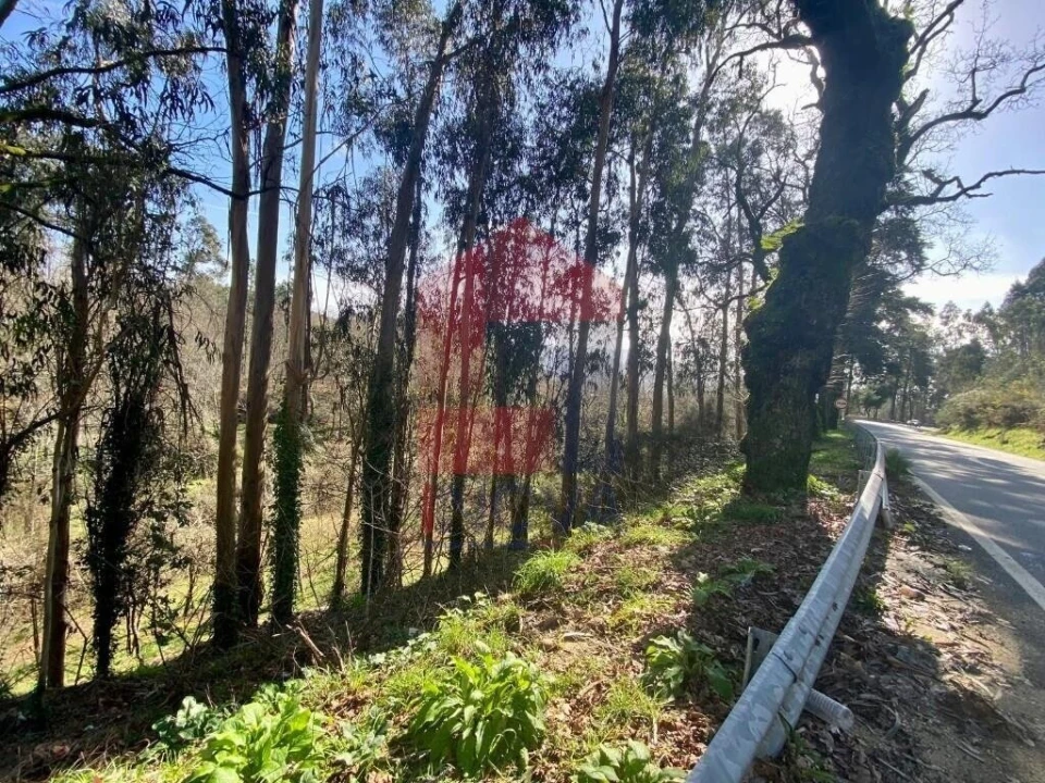 Terreno para Venda em Pico Foto 29