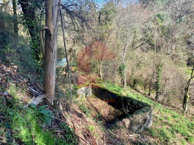 Terreno para Venda em Pico Foto 3