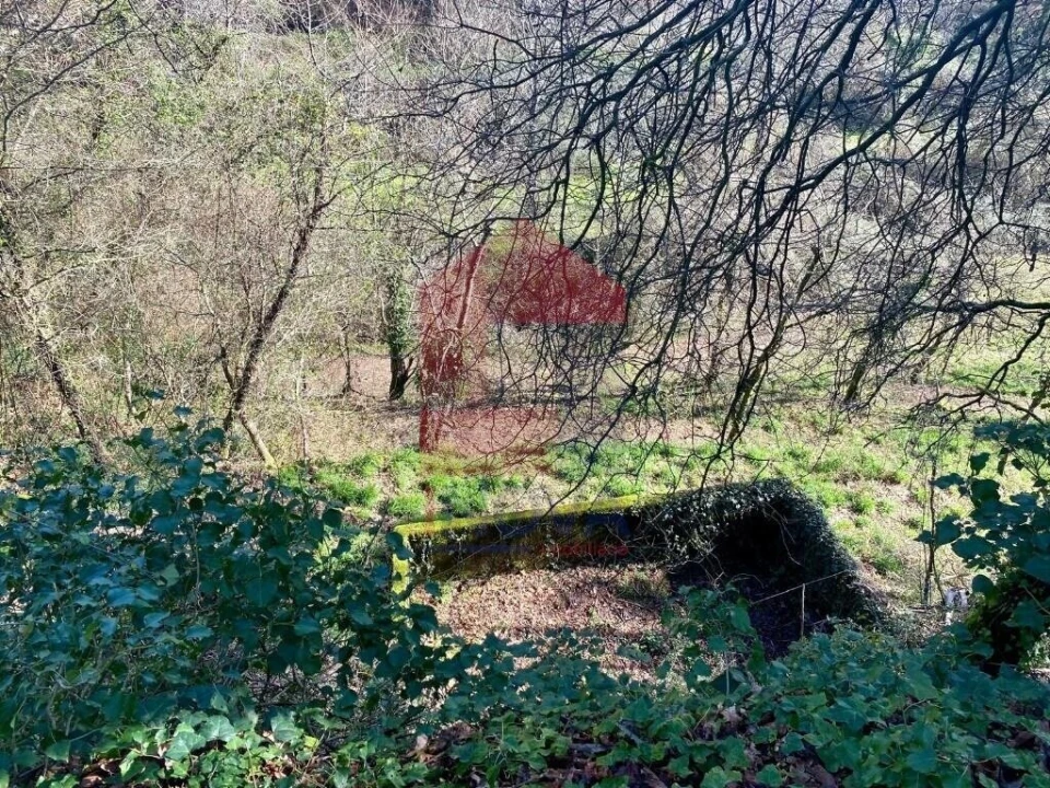 Terreno para Venda em Pico Foto 11