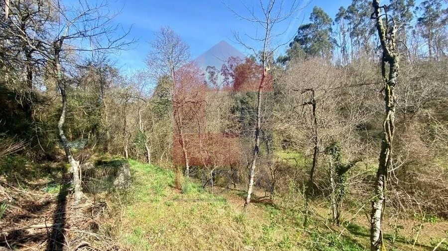 Terreno para Venda em Pico