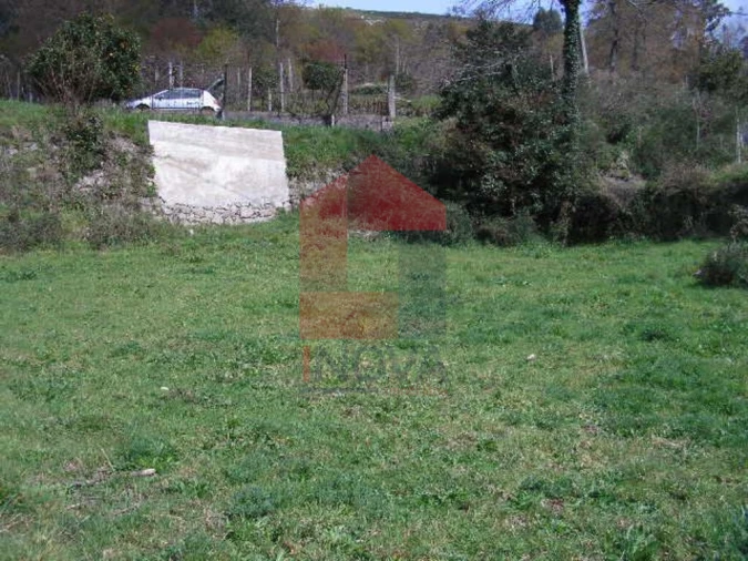Terreno para Venda em Aboim da Nóbrega e Gondomar Foto 2