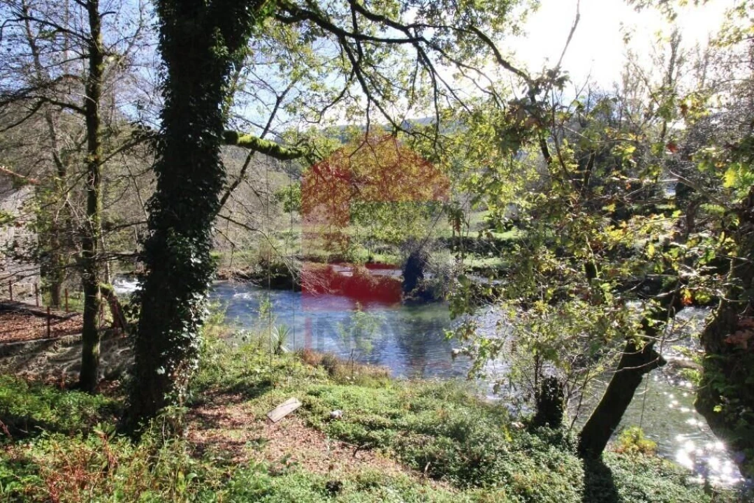 Terreno para Venda em Souto Foto 51