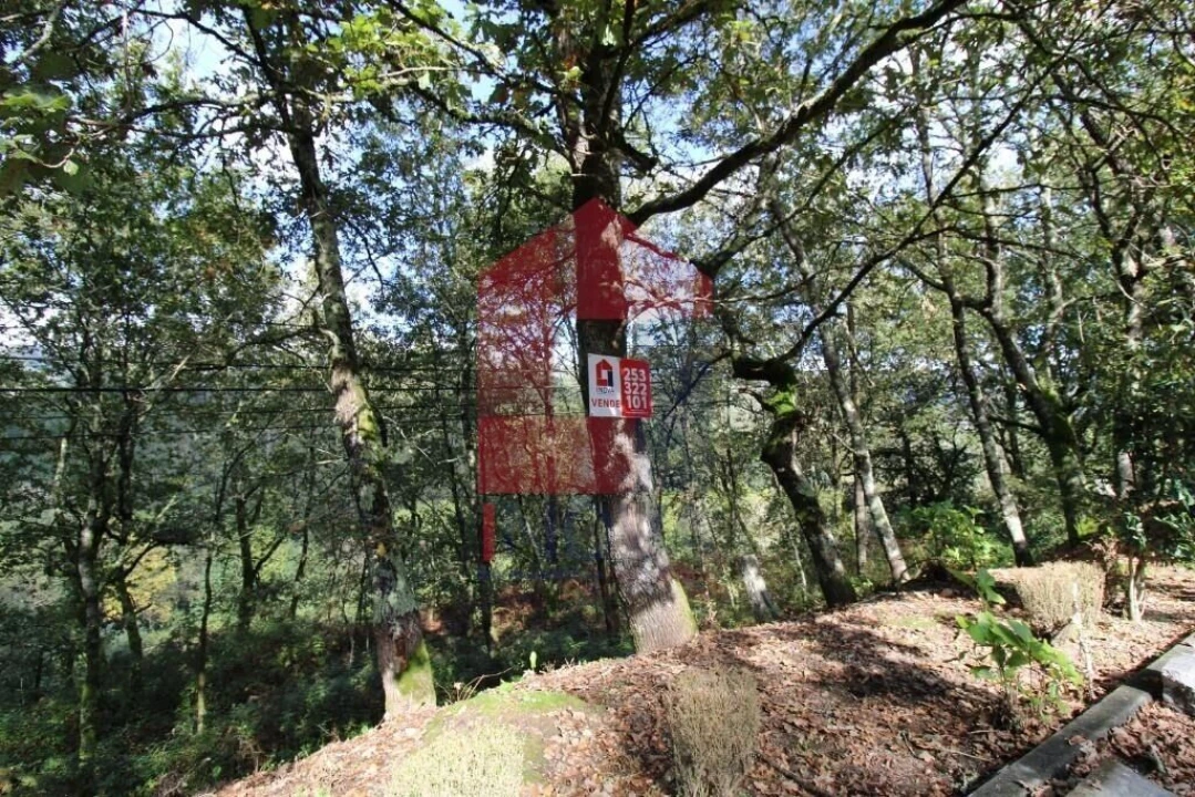 Terreno para Venda em Souto Foto 31