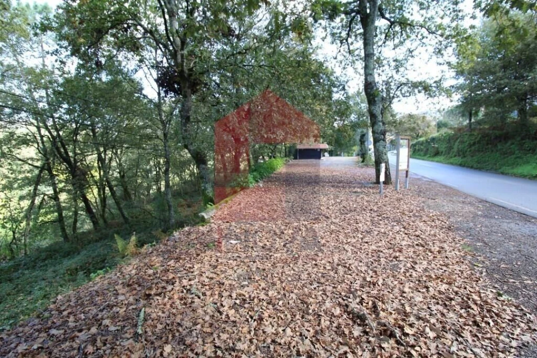 Terreno para Venda em Souto Foto 38