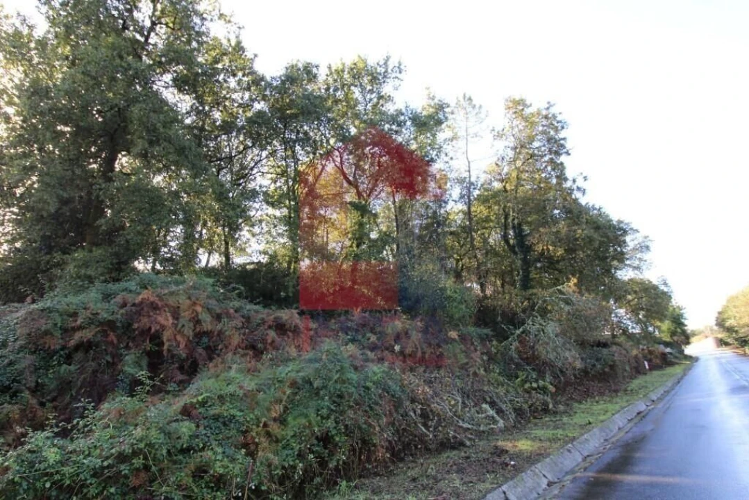 Terreno para Venda em Souto Foto 25