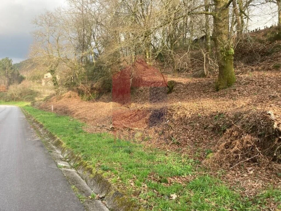 Terreno para Venda em Souto Foto 9