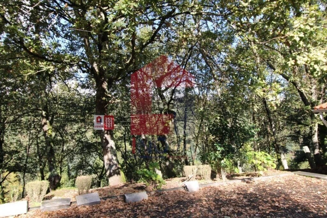 Terreno para Venda em Souto Foto 39