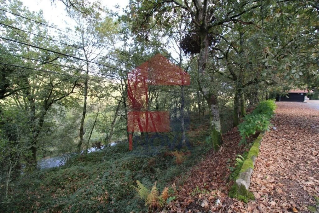 Terreno para Venda em Souto Foto 35