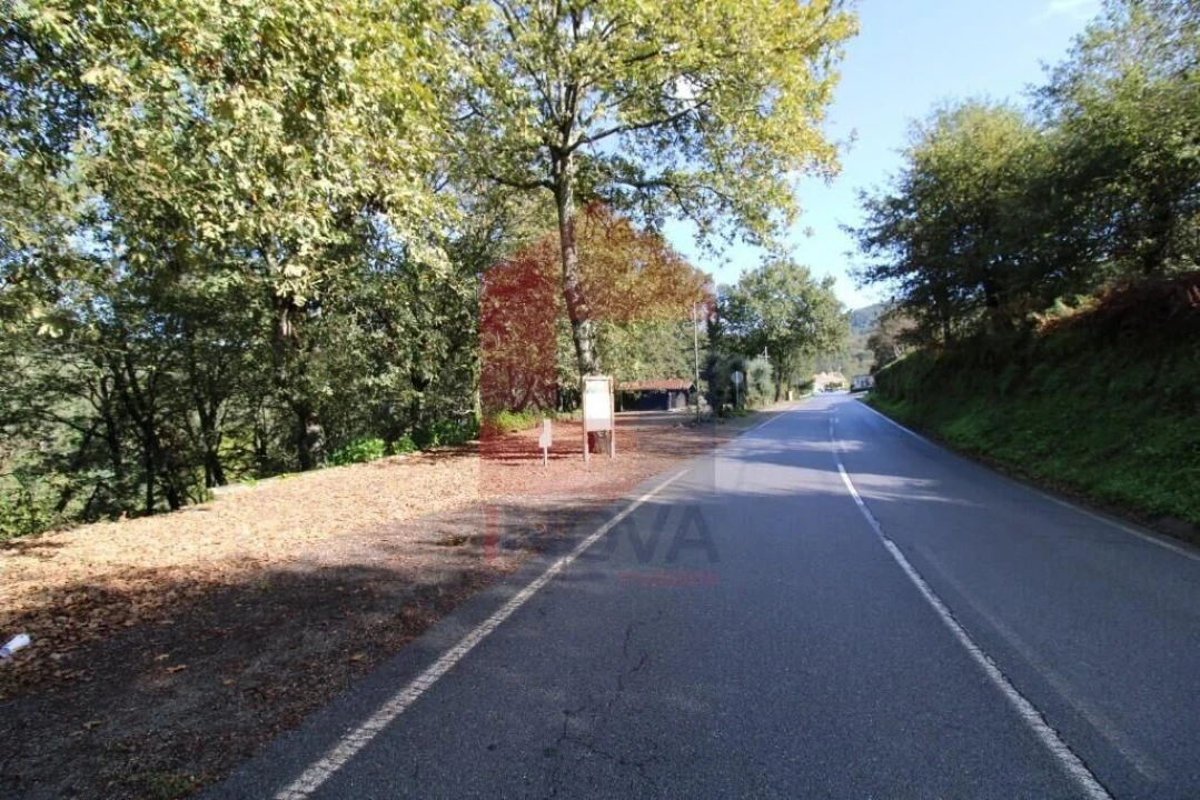 Terreno para Venda em Souto Foto 43