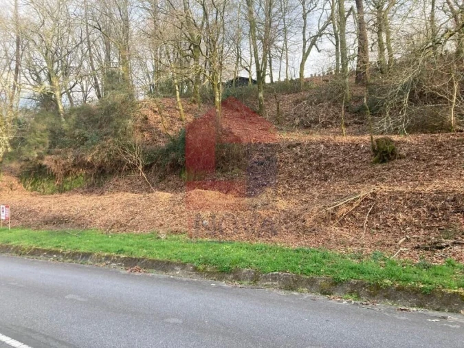 Terreno para Venda em Souto Foto 8