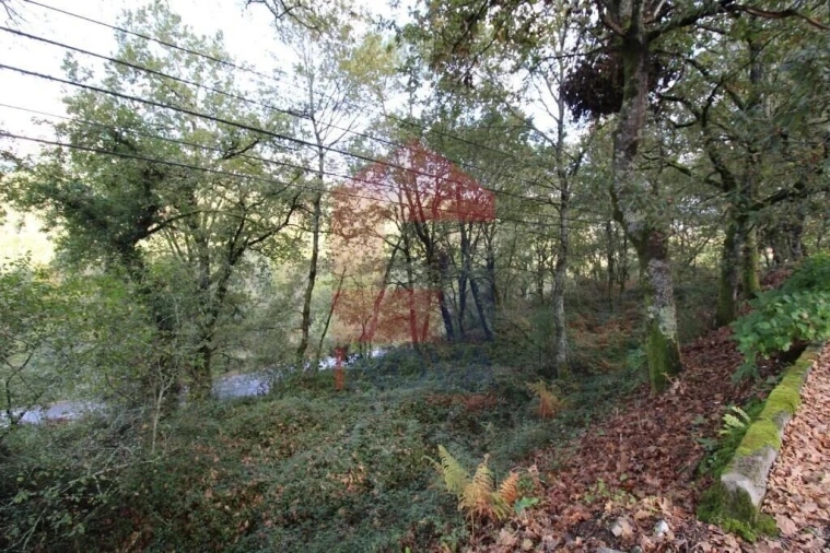 Terreno para Venda em Souto Foto 36