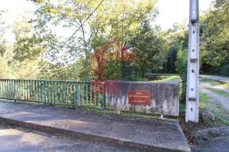 Terreno para Venda em Souto Foto 44