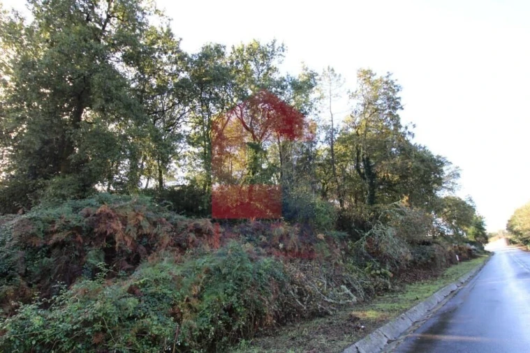 Terreno para Venda em Souto Foto 25