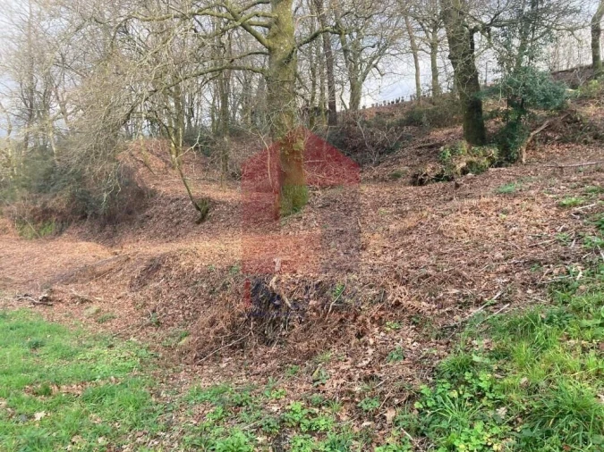 Terreno para Venda em Souto Foto 17