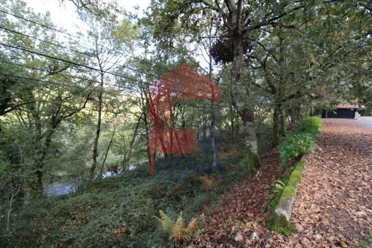 Terreno para Venda em Souto Foto 35